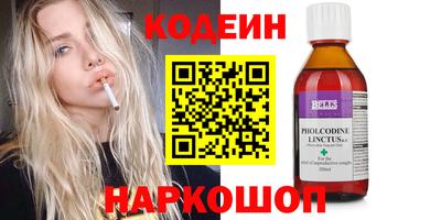индика Сланцы